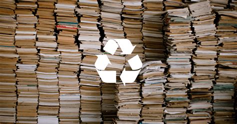 Are Books Recyclable: A Deeper Dive into the World of Knowledge Recycling