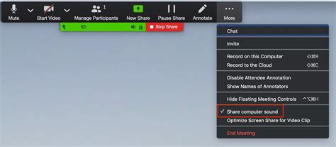 How to Share Music on Zoom: A Guide with Multiple Perspectives